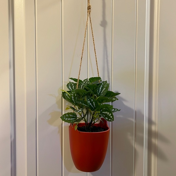 Target Other Fake Hanging Plant Poshmark